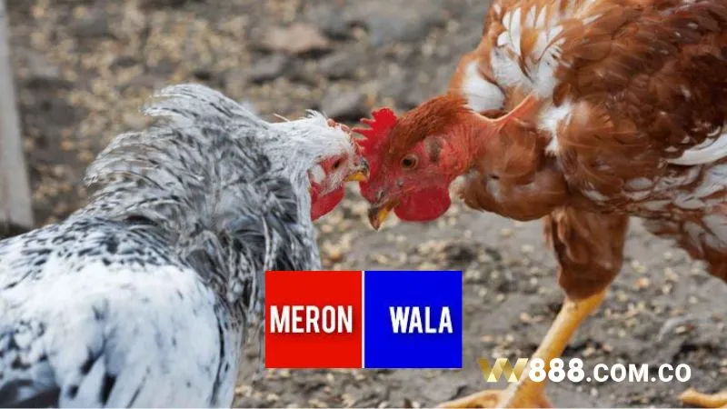 Cách bắt kèo đá gà phổ biến tại W88