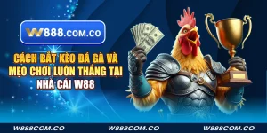Cách bắt kèo đá gà
