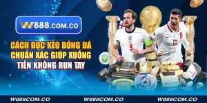 Cách đọc kèo bóng đá