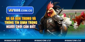 Đá gà đòn Thomo