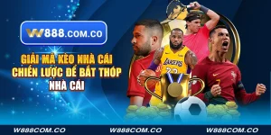 Giải mã kèo nhà cái