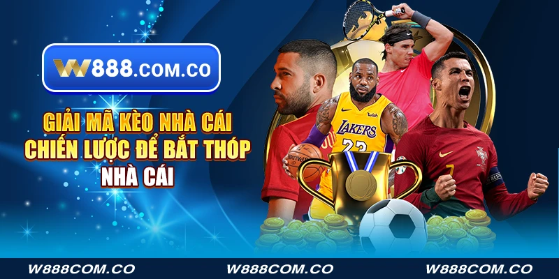 Giải mã kèo nhà cái