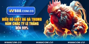luật đá gà Thomo