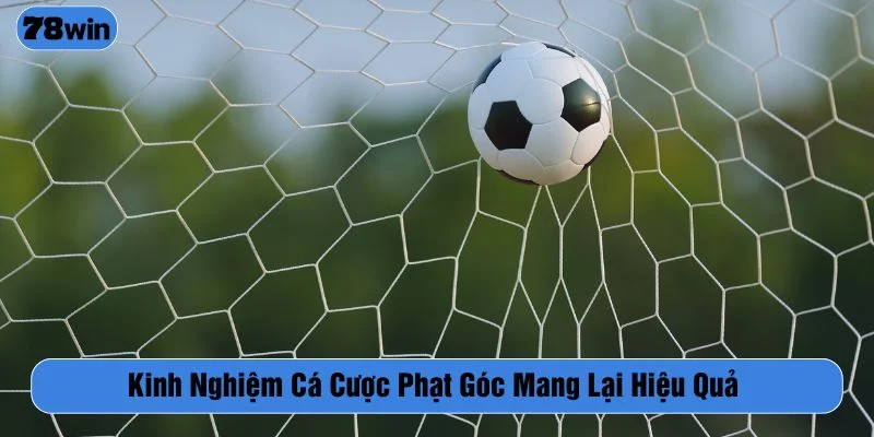 Áp dụng kinh nghiệm cá cược để tăng tỷ lệ thắng kèo