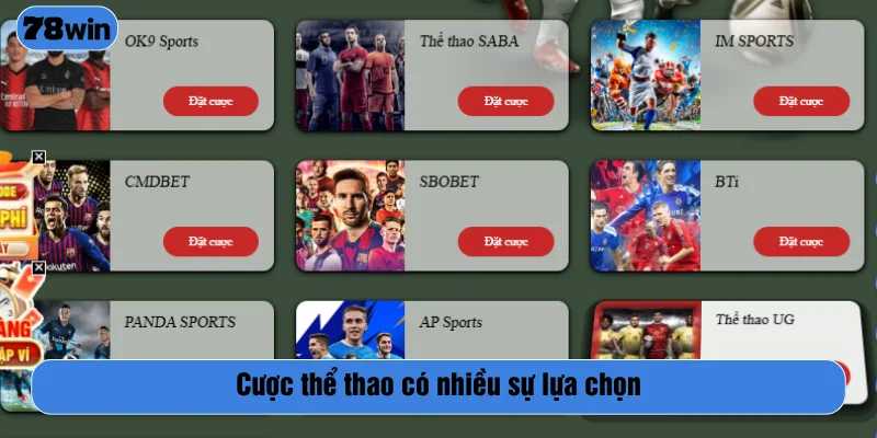 Cá độ thể thao với nhiều nhà cung cấp lớn