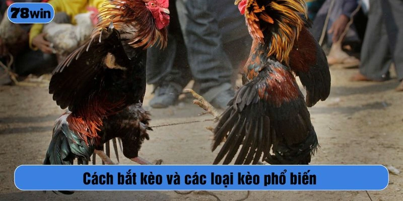 Cách bắt kèo và các loại kèo phổ biến