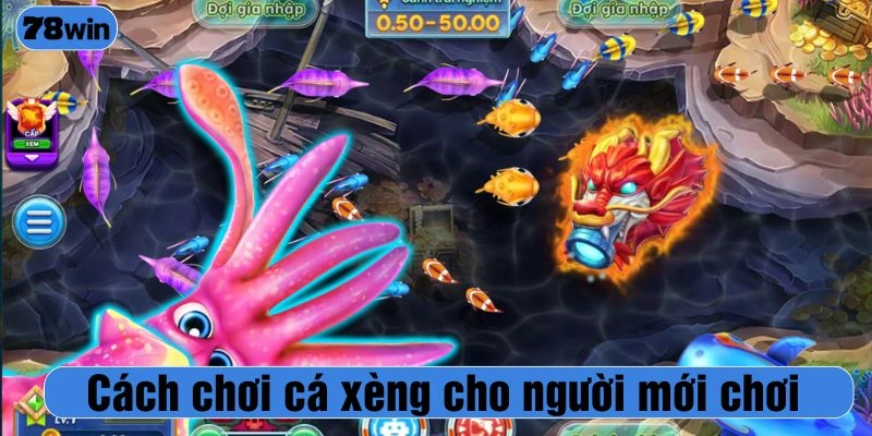 Cách chơi cá xèng cho người mới chơi