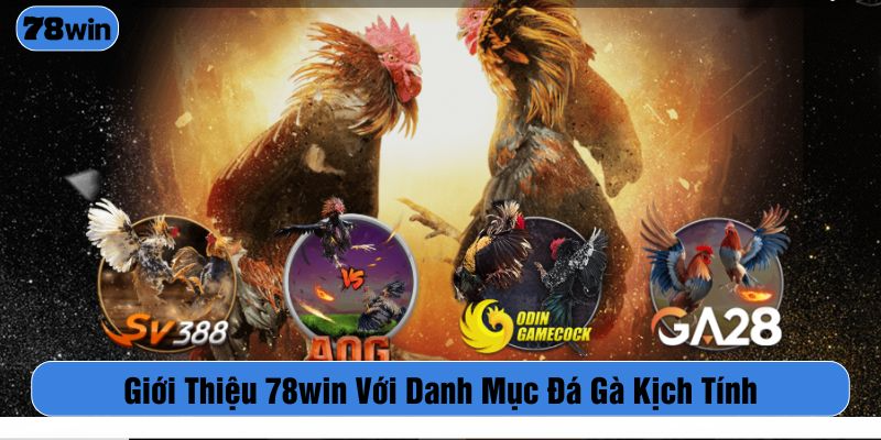 Cá cược đá gà với hàng trăm trận đấu cập nhật mỗi ngày