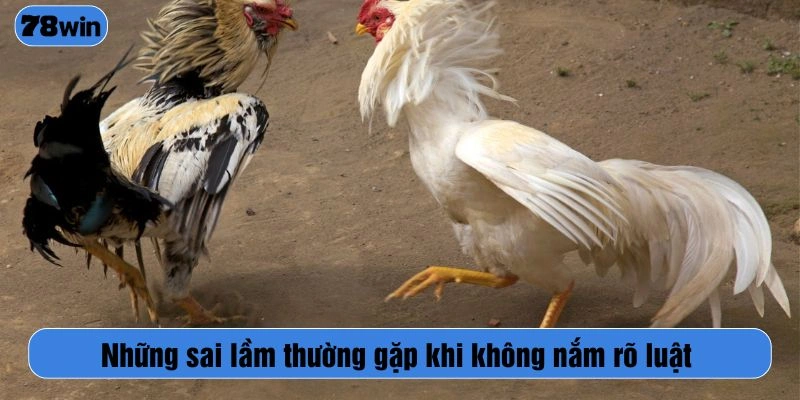 Những sai lầm thường gặp khi không nắm rõ luật