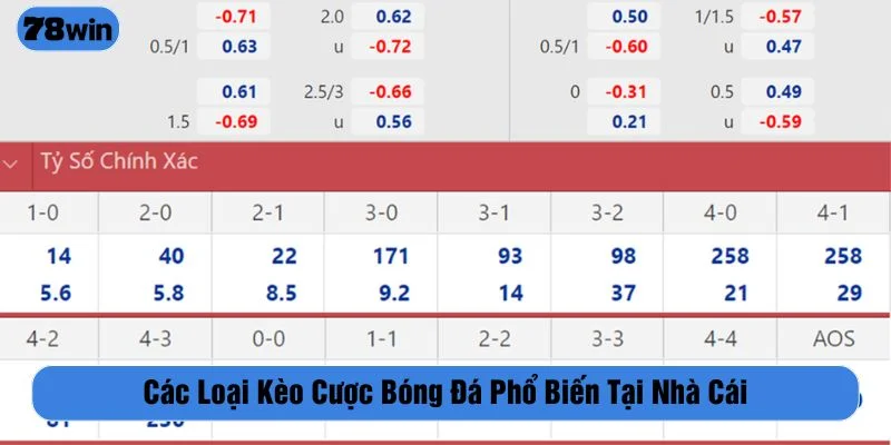 Tham khảo tỷ lệ kèo để cá cược hiệu quả